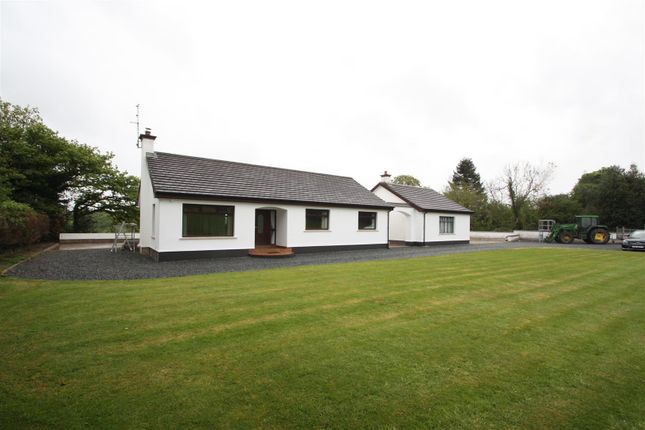 Thumbnail Detached bungalow to rent in Newcastle Road, Ballynahinch