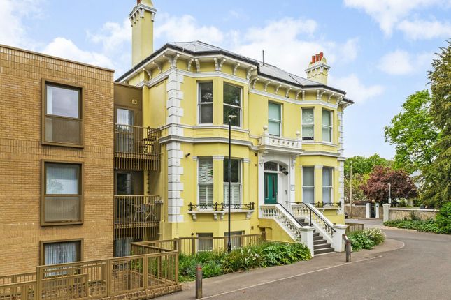 Birch Villa, 253 Preston Road, Brighton photo 3