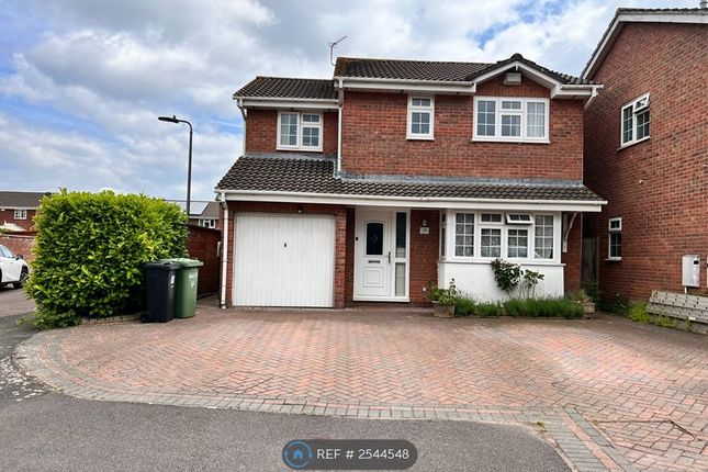 Front Garden/ Driveway