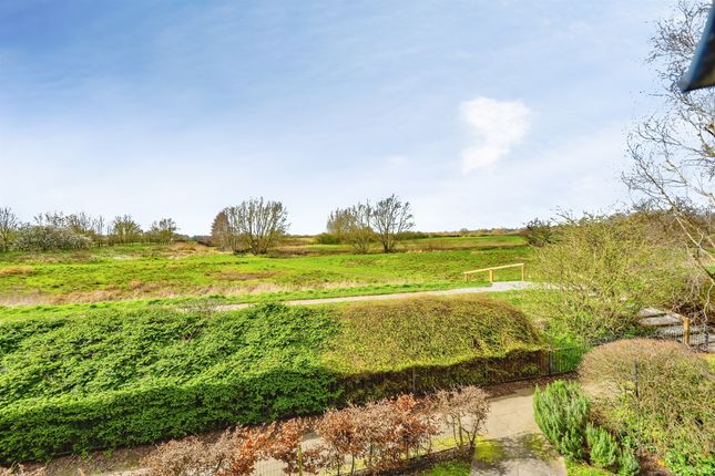 33, Wildhay Brook, Derby photo 2