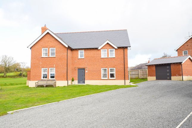 Thumbnail Detached house for sale in Rhos Goch, Pennant, Llanon, Ceredigion