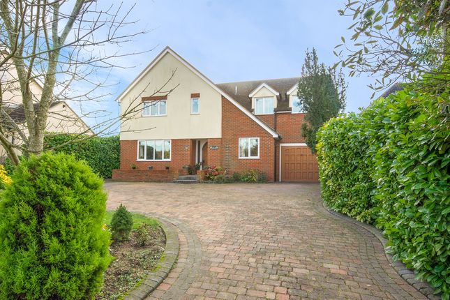 Thumbnail Detached house for sale in Latchingdon Road, Cold Norton, Chelmsford