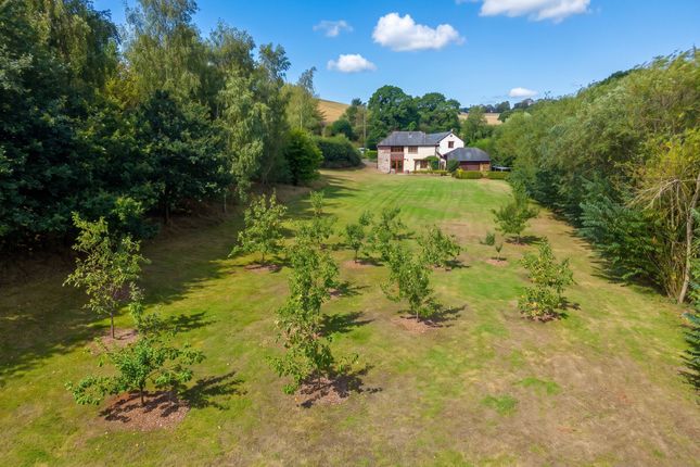 The Roundhouse Barn, Crediton photo 4