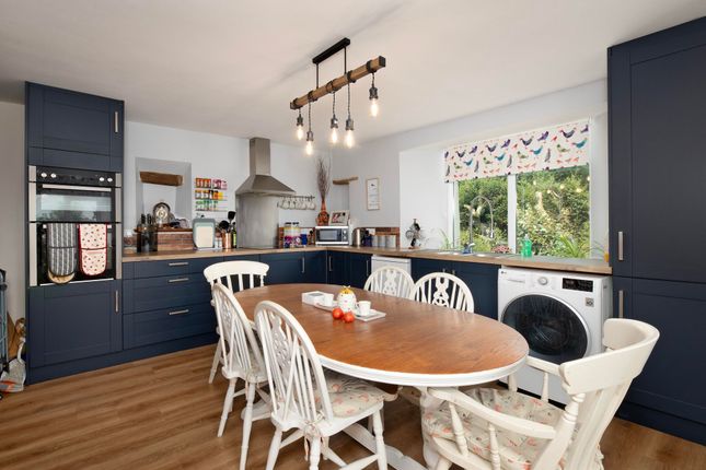 Patchacott Farm [LOT 1], Patchacott, Beaworthy photo 4