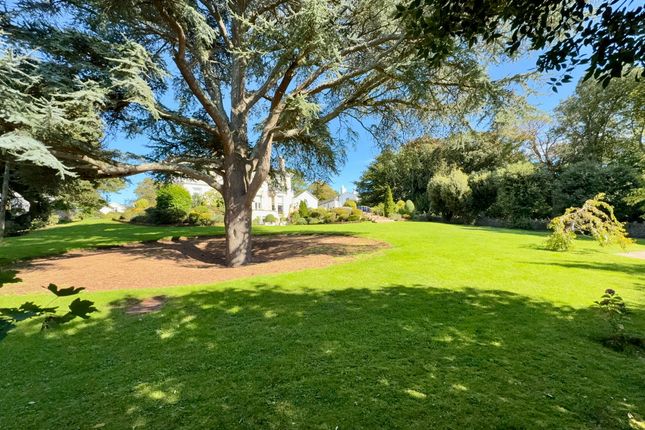 3 Sunnyhill Mews, Torquay photo 3