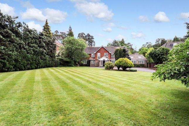 Thumbnail Detached house for sale in Sunning Avenue, Sunningdale, Ascot