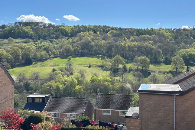 29a, Liberty Road, Sheffield photo 4