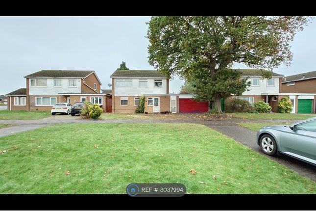 4 bed property for rent in Bradwell Road, Peterborough PE3