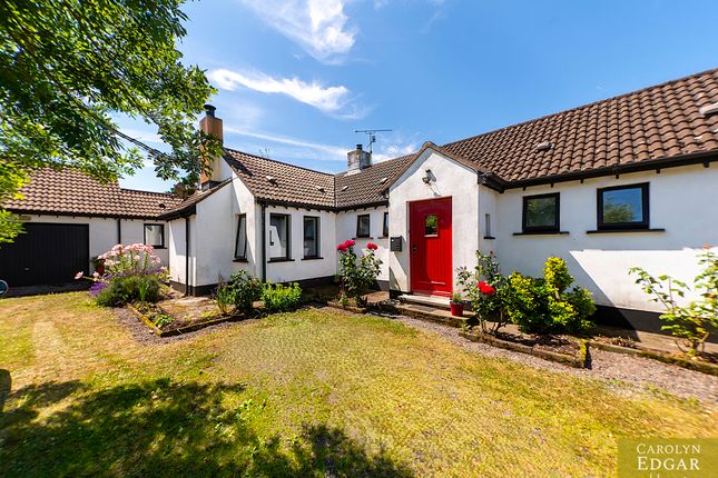 15A, Newtownards photo 4