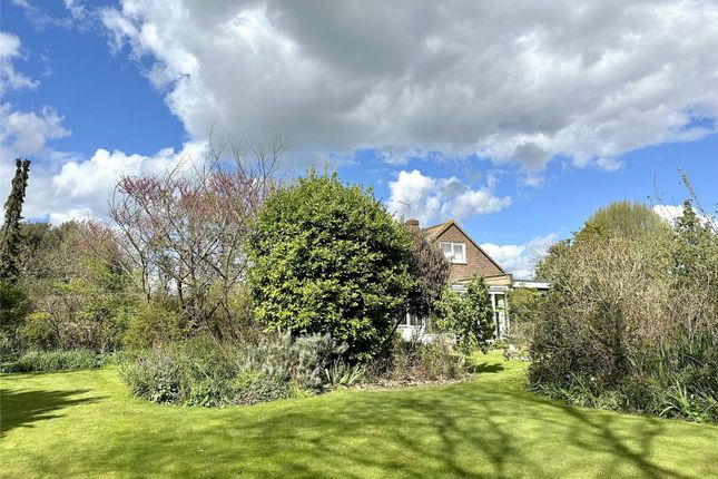 Detached house for sale in Strettington Lane, Strettington, Chichester, West Sussex