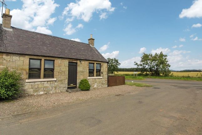Cottage to rent in Shiells Farm Cottage, Ladybank, Fife KY15