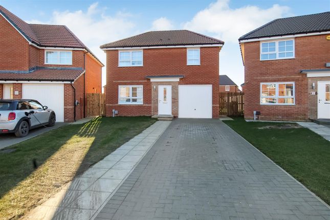 Thumbnail Detached house for sale in Browdie Road, Darlington