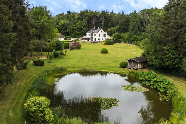 Thumbnail Detached house for sale in Winterborne Kingston, Blandford Forum, Dorset