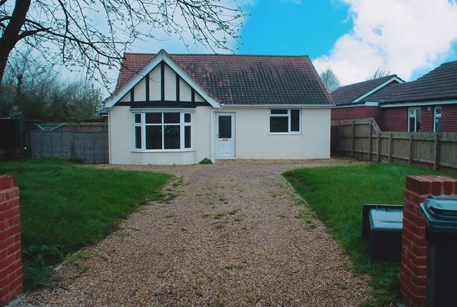 Thumbnail Detached bungalow to rent in Sunnyside, Pound Hill, Bacton, Stowmarket