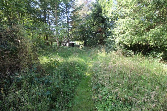 Thumbnail Land for sale in Land At Skiach Bank, Drummond Road, Evanton