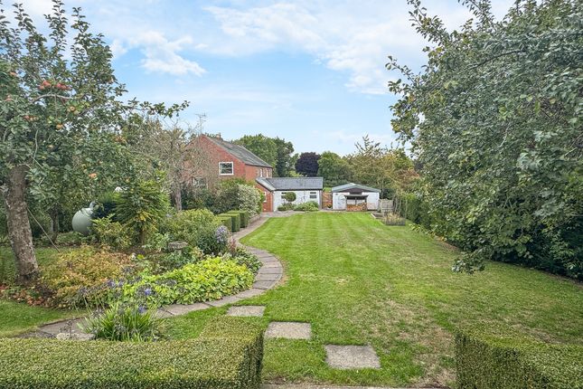 Orchard Cottage, Hereford photo 4
