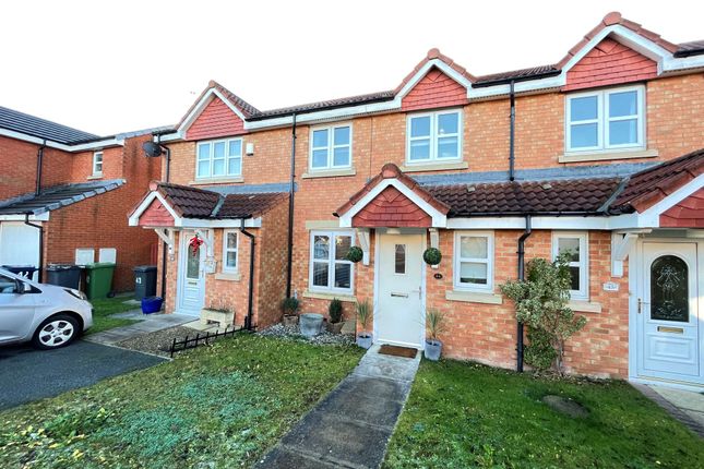 Thumbnail Terraced house for sale in Lavender Grove, Jarrow