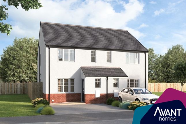 Thumbnail Semi-detached house for sale in "The Elmwood" at Boar Stone View, Armadale, Bathgate