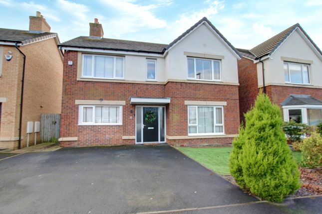 Thumbnail Detached house for sale in Hornbeam Close, Durham