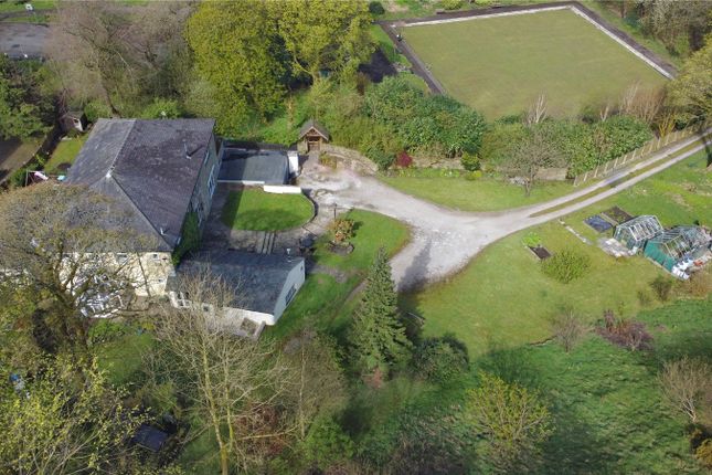 Overview Of The Plot