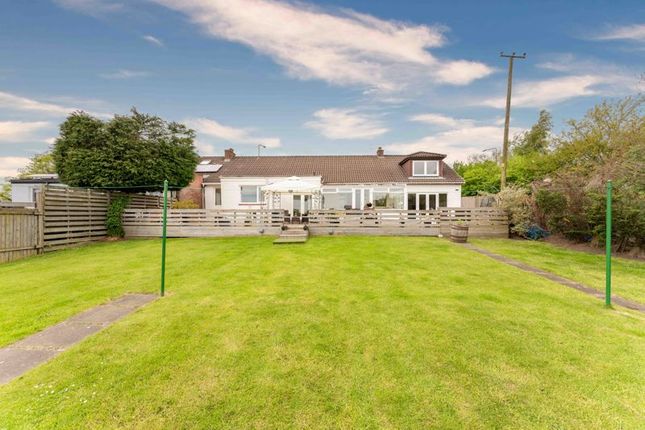 Thumbnail Bungalow for sale in Harvest View, Seafield Road, Bathgate
