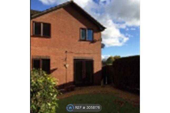 Saltney, Chester photo 2