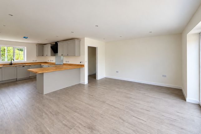 Marles Close, Honiton photo 3