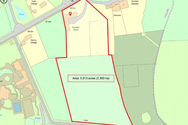 Gunners Wood, Chertsey Road, Windlesham photo 4