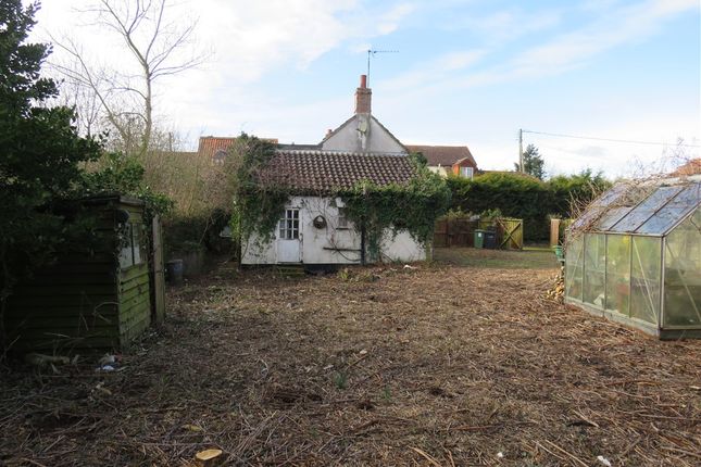 Sonwin, Ely Road, DOWNHAM MARKET photo 4
