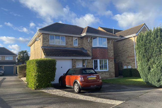Thumbnail Detached house to rent in Buzzard Close, Rogiet, Caldicot