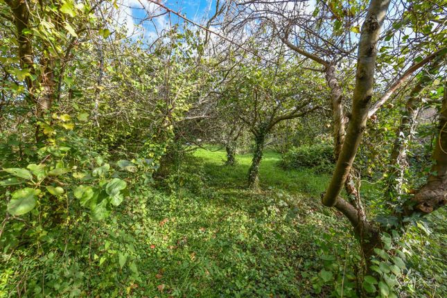 Detached bungalow for sale in Lower Bettesworth Road, Ryde