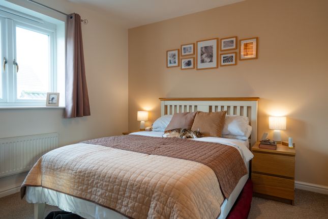146, Harrison Drive, Cardiff photo 4