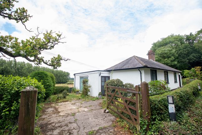 Thumbnail Detached bungalow for sale in Bridge, Canterbury