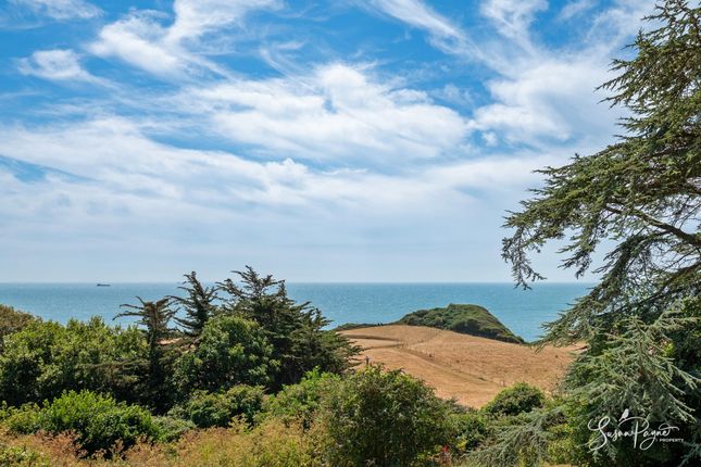 Craigie Lodge Gardens Woolverton Road, Ventnor photo 2