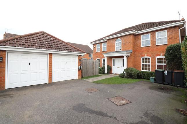 Thumbnail Detached house to rent in Comfrey Close, Rushden