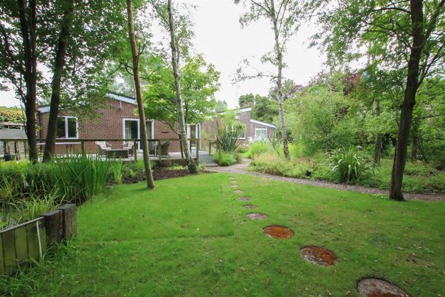3, Birchwood Dell, Doncaster photo 2
