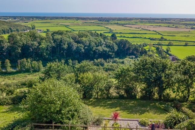Dji_0424-Edit.Jpg