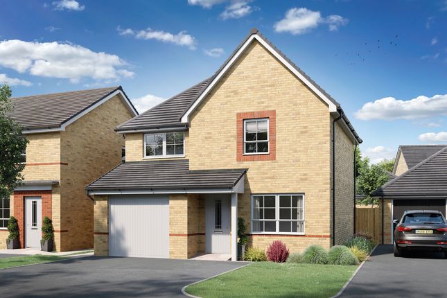 Thumbnail Detached house for sale in "Bewdley" at Cardamine Parade, Stafford