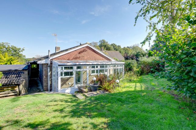 Ben Venuto, Joes Lane, Windmill Hill photo 2
