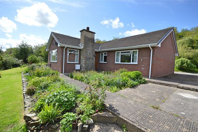Bungalow for sale in Dingle Drive, Canal Road, Newtown, Powys
