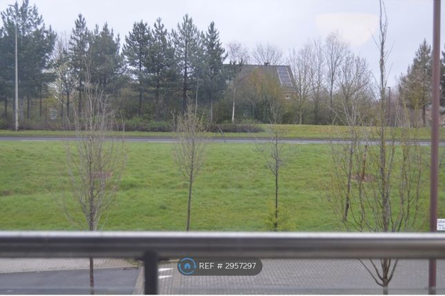 Cyber Avenue, Oakgrove, Milton Keynes photo 5