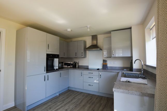 Link-detached house to rent in Cobbler Drive, Godmanchester, Huntingdon