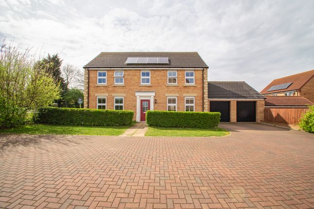 Thumbnail Detached house for sale in Thorney Road, Eye, Peterborough