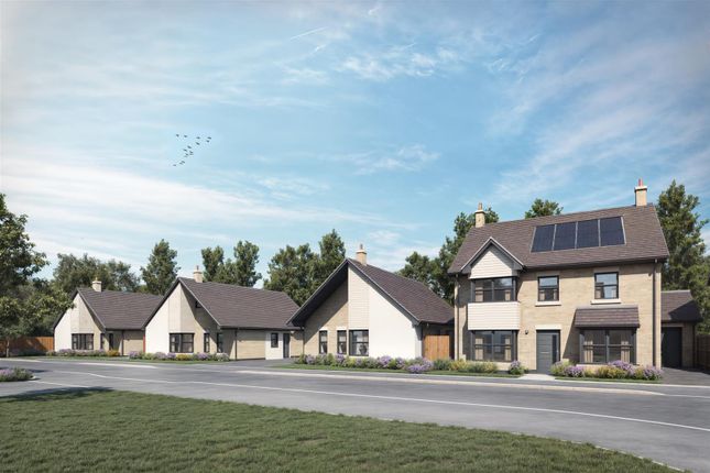 Plot 14, The Daisy,, Westacre Meadows, Holme Road, Market Weighton photo 3