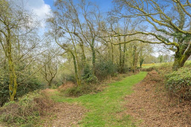 Thumbnail Land for sale in Hatway Hill, Sidbury, Sidmouth