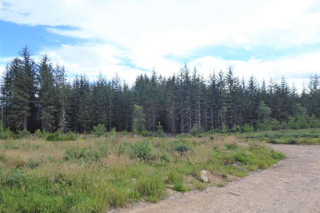Land for sale in Cossack Wood, Craigellachie