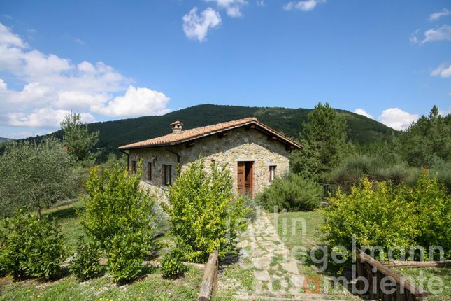 Farm for sale in Italy, Tuscany, Arezzo, Chiusi Della Verna