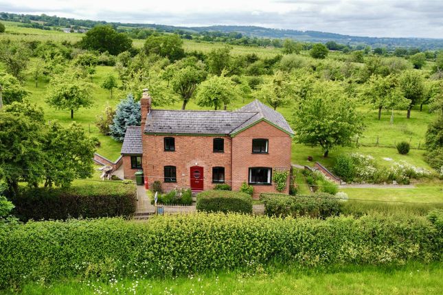 Thumbnail Detached house for sale in Much Marcle, Ledbury