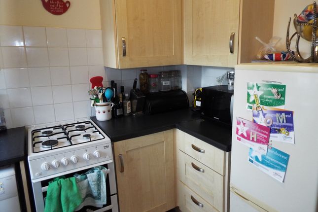 19, Leicester photo 3