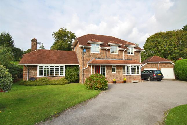 Thumbnail Detached house to rent in Armstrong Road, Brockenhurst